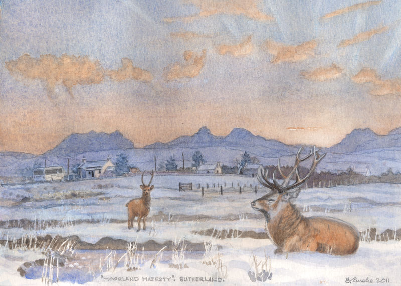 Moorland Majesty